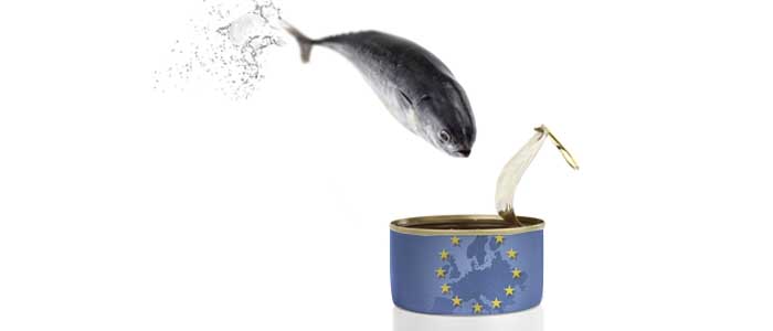 Creciente contingente Europeo para lomos de atún erosiona preferencias negociadas en el Acuerdo Comercial